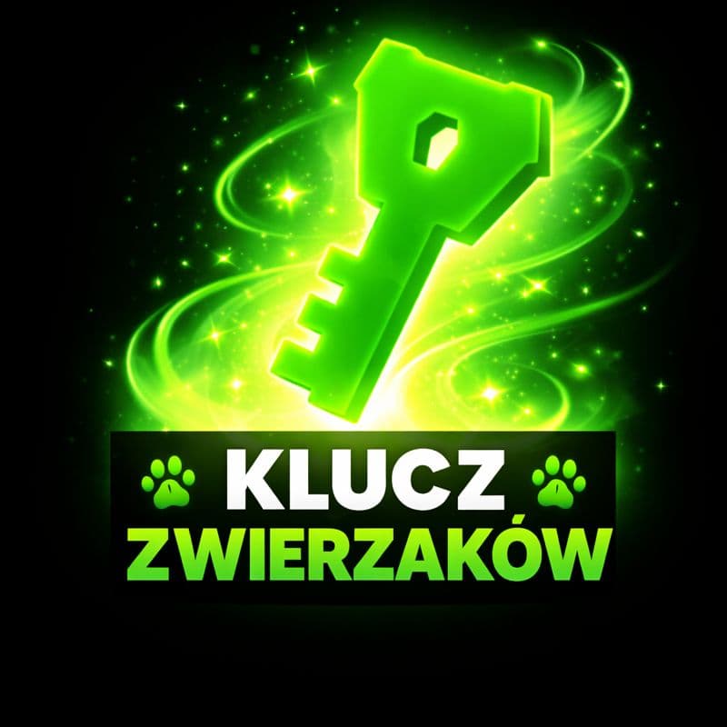 skrzynia zwierzaków
